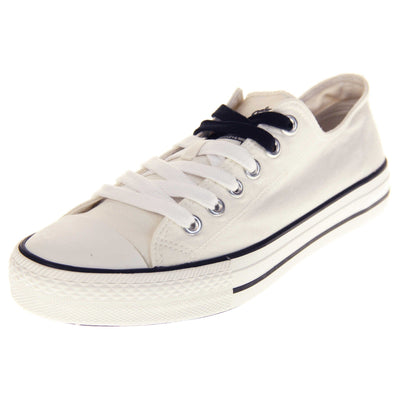 Ladies white canvas pumps. Women's shoes in a low top sneaker style with a white canvas upper. White laces with top two rows being black. White textile lining and white outsole with a black line running around it. Left foot at an angle.